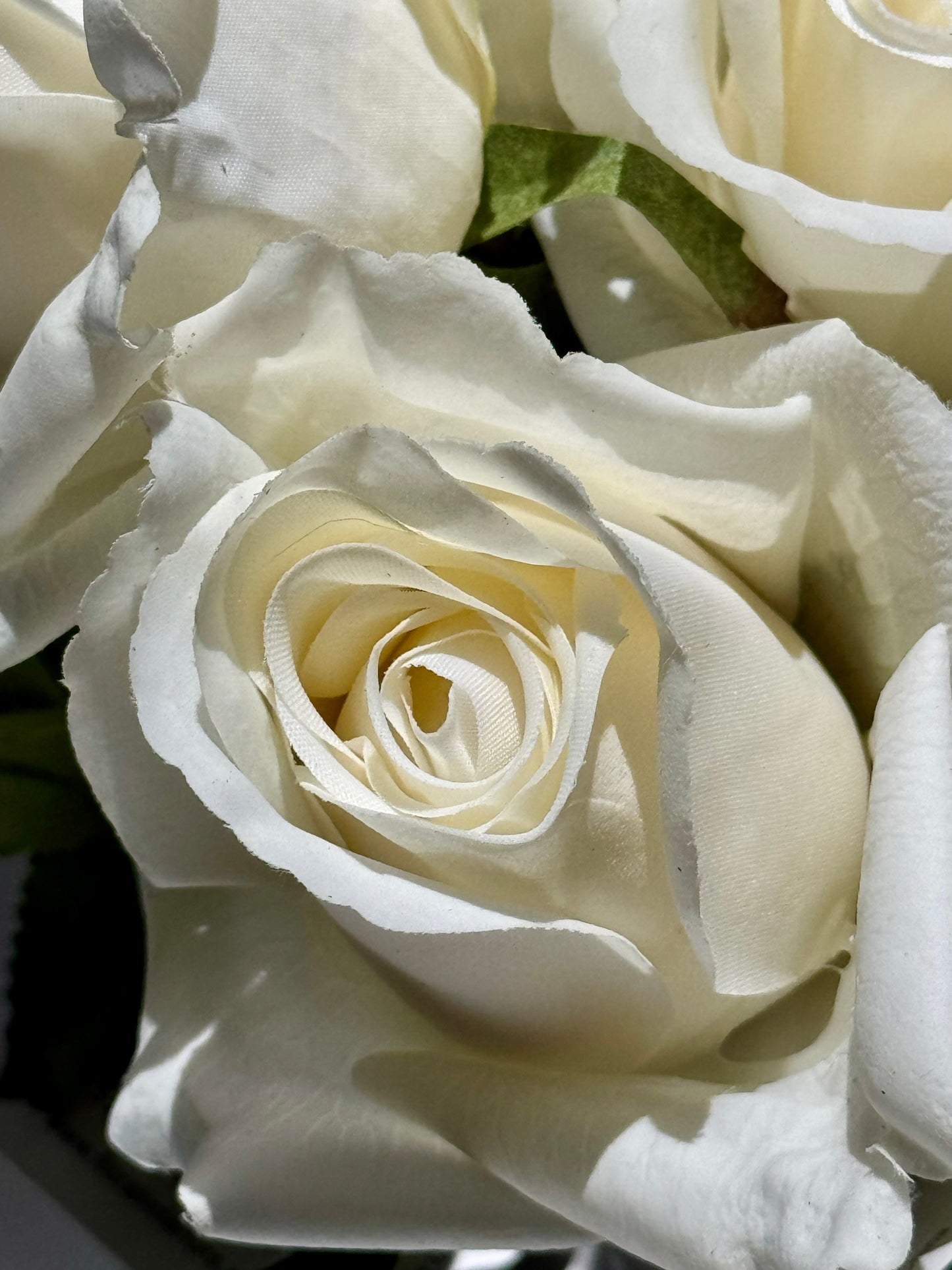 Bella Rosebud -White