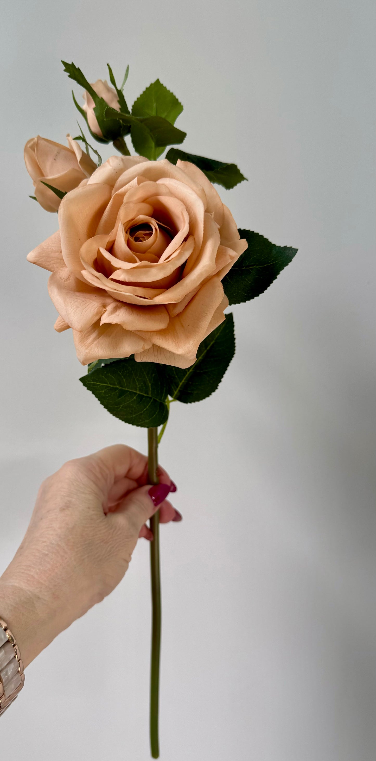 Lisa Rose Spray-Blush