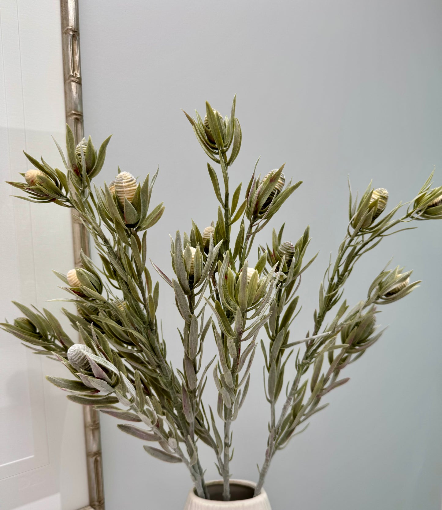 Leucadendron nut spray