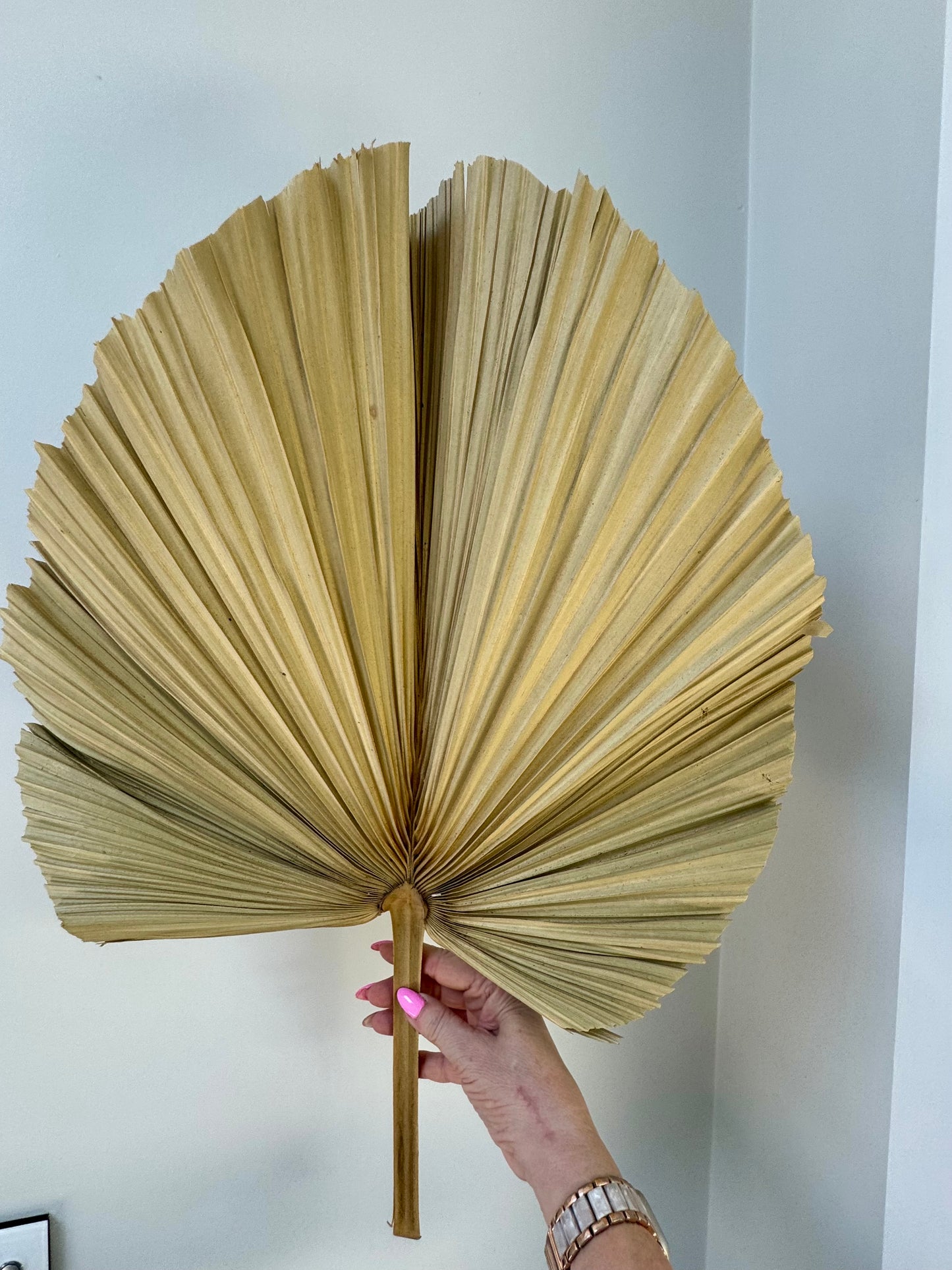 Dried Palm- large