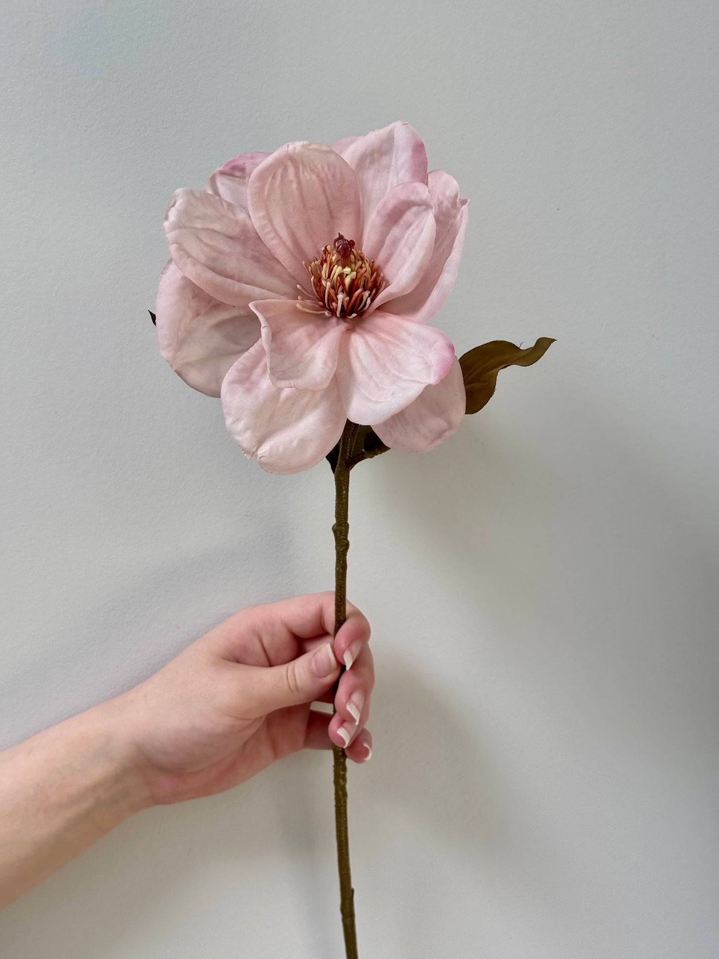 Magnolia-Light Mauve