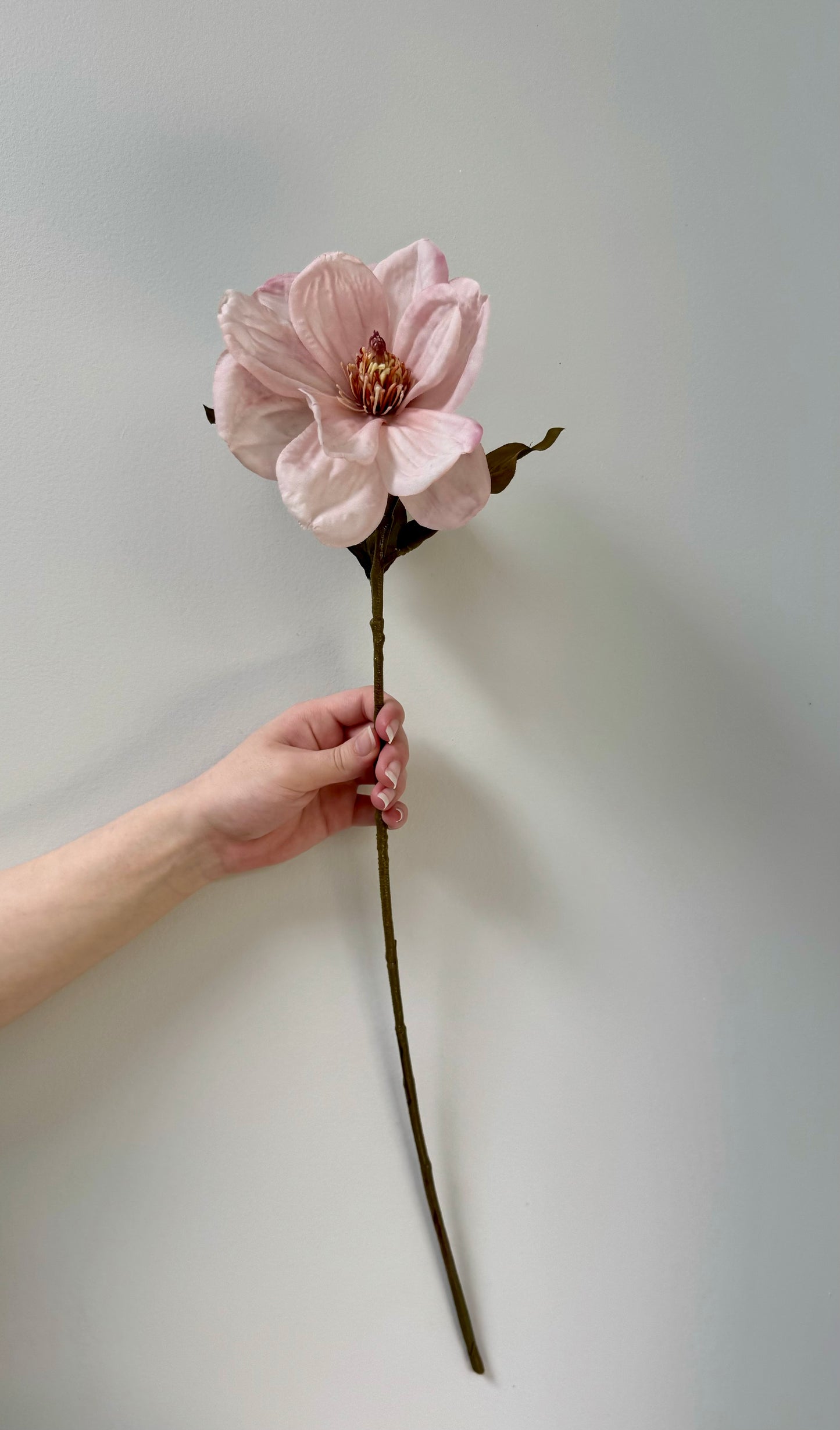 Magnolia-Light Mauve