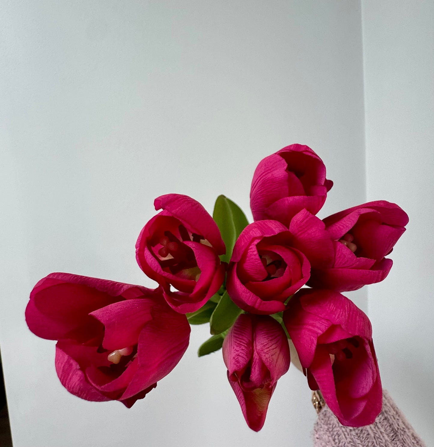 Tulip bunch-Fuchsia