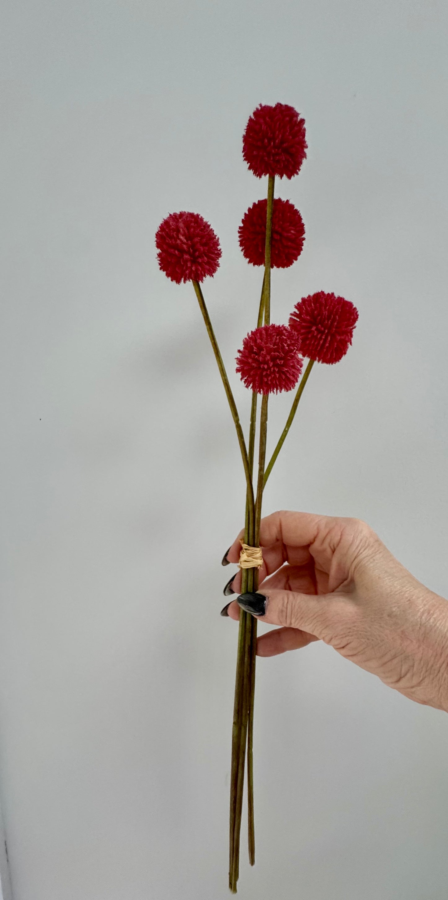 Billy Buttons-Salmon