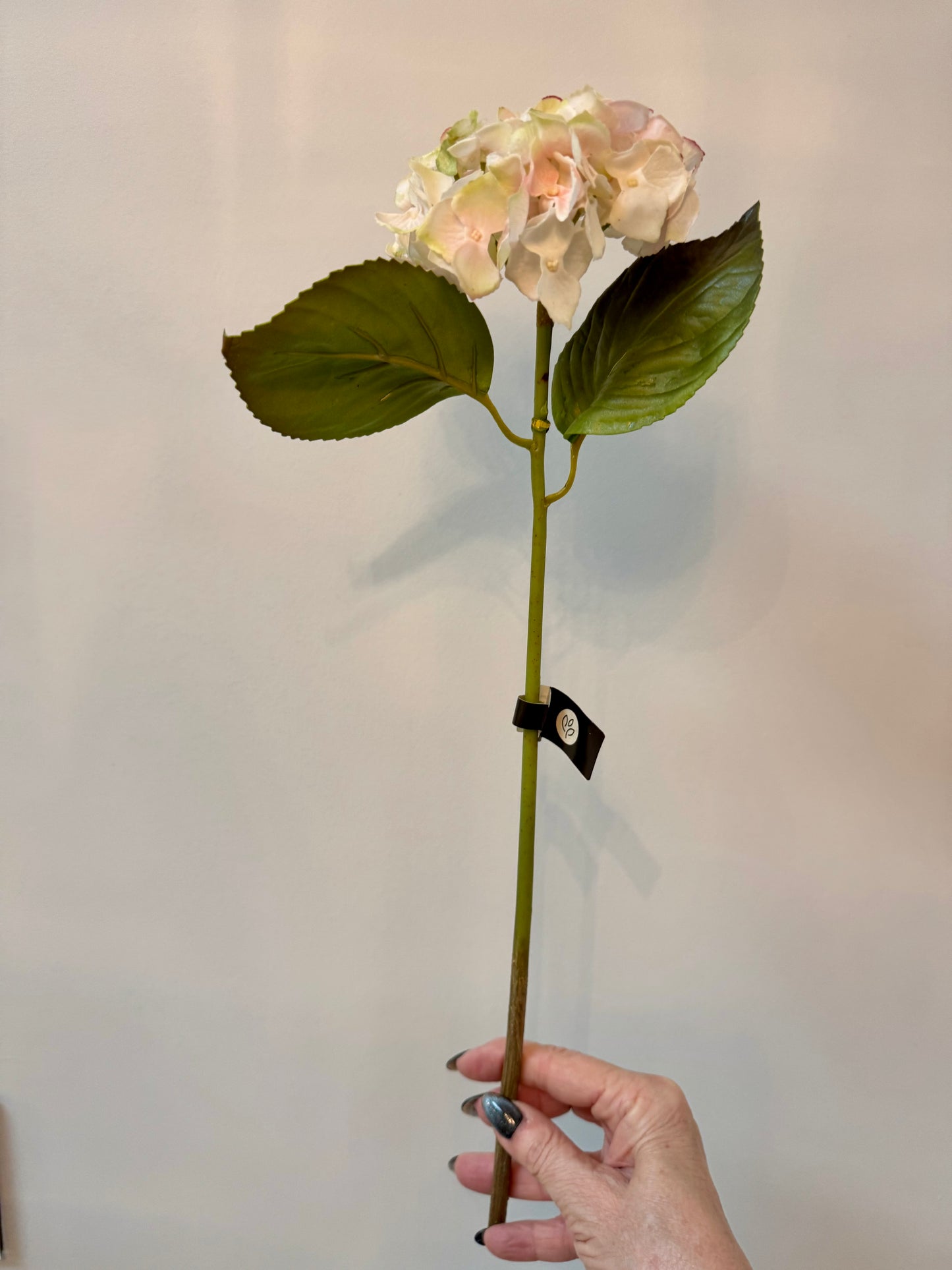 Hydrangea-Pink/Green