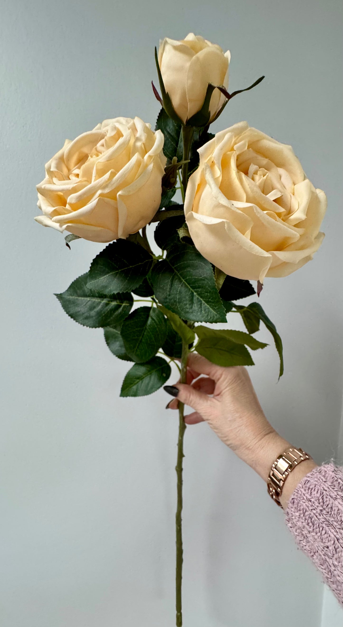 Sara Rose Spray- Butter