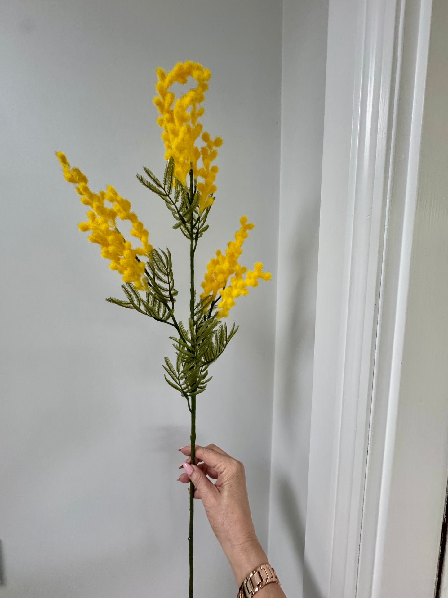 Wattle Sprays