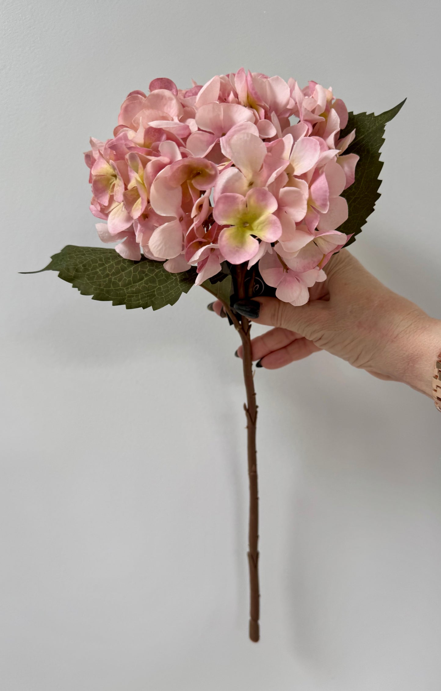 Hydrangea-Pink