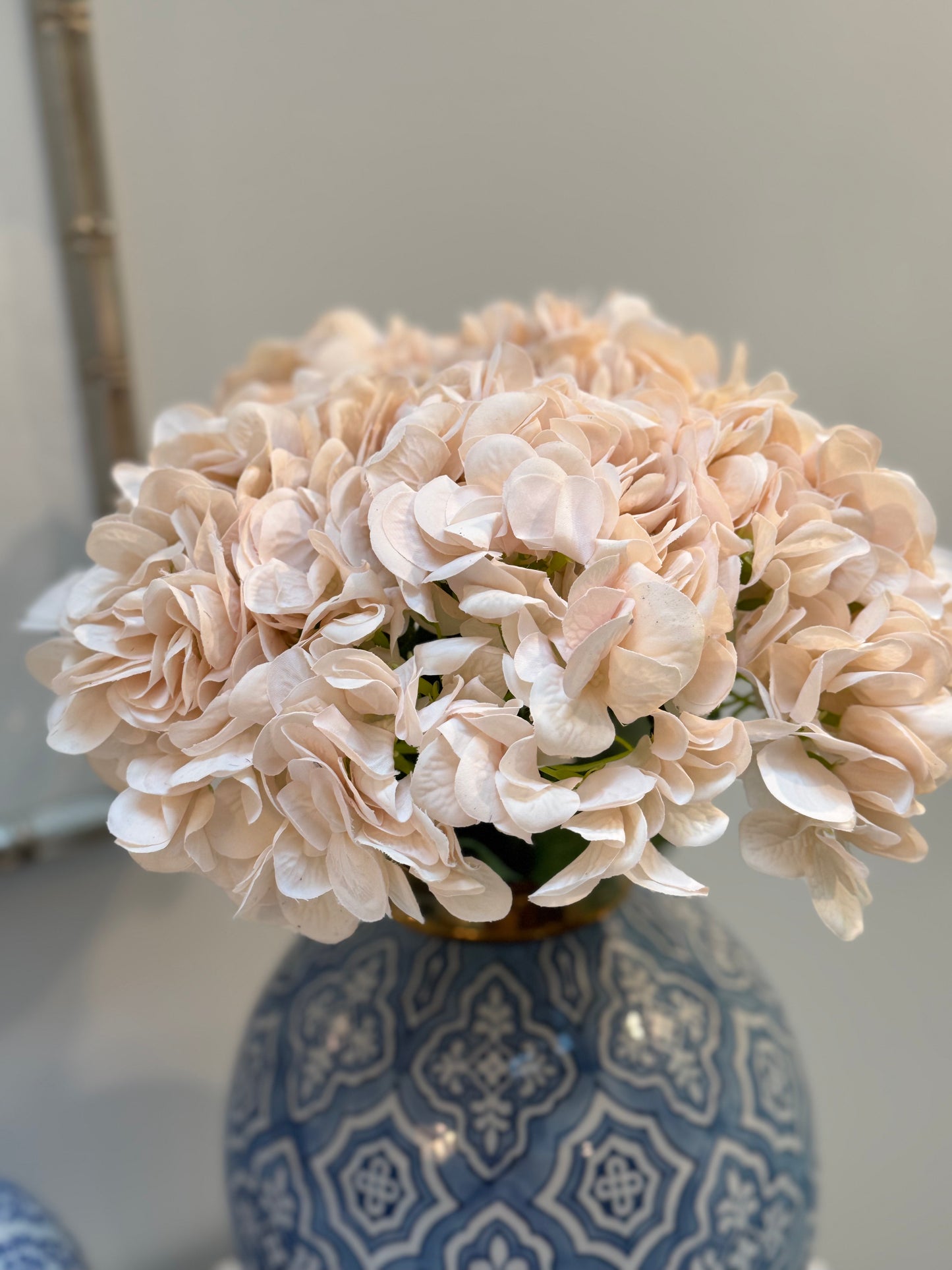 Hydrangea-Ivory