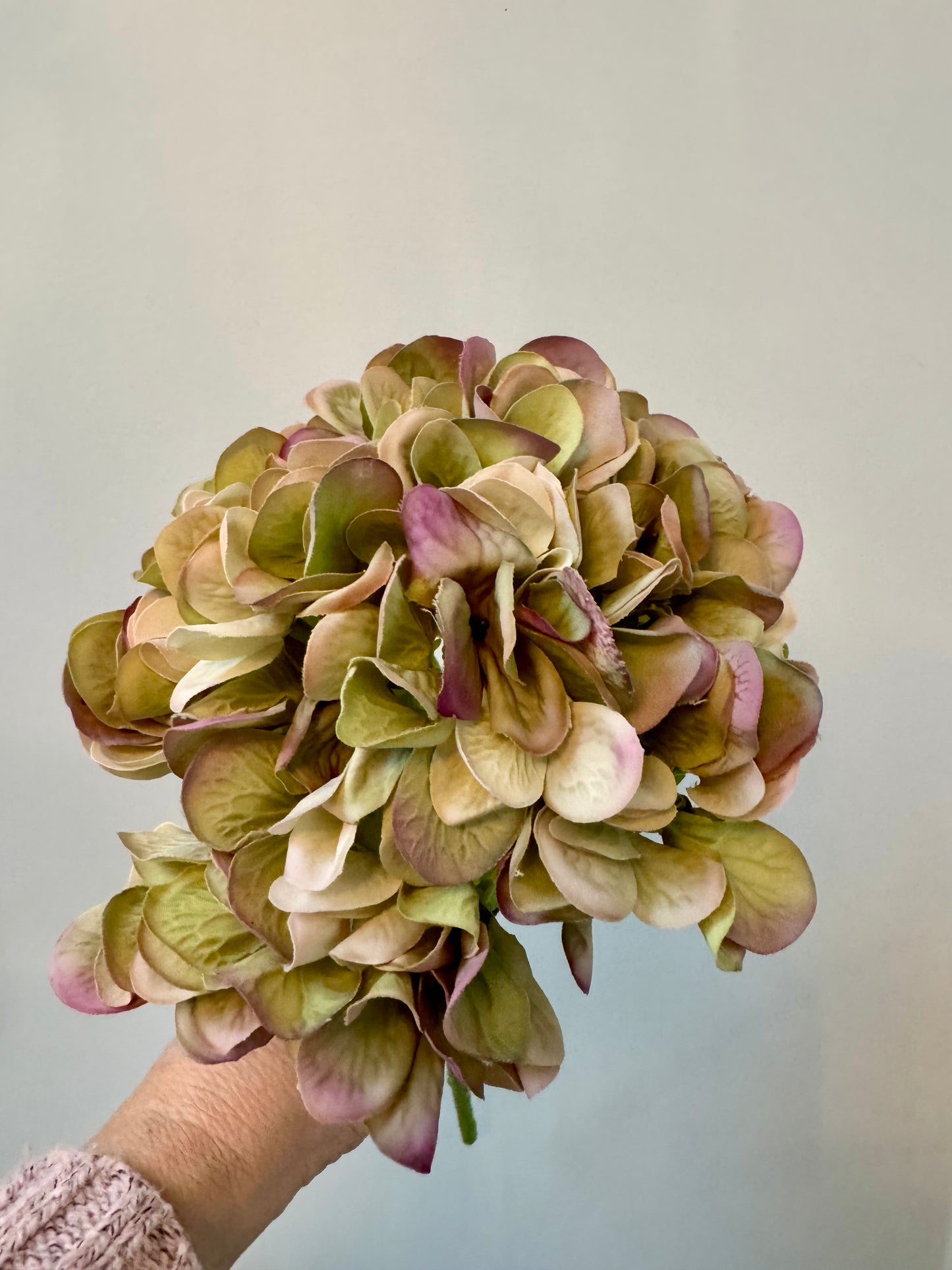 Hydrangea-Green/Mauve