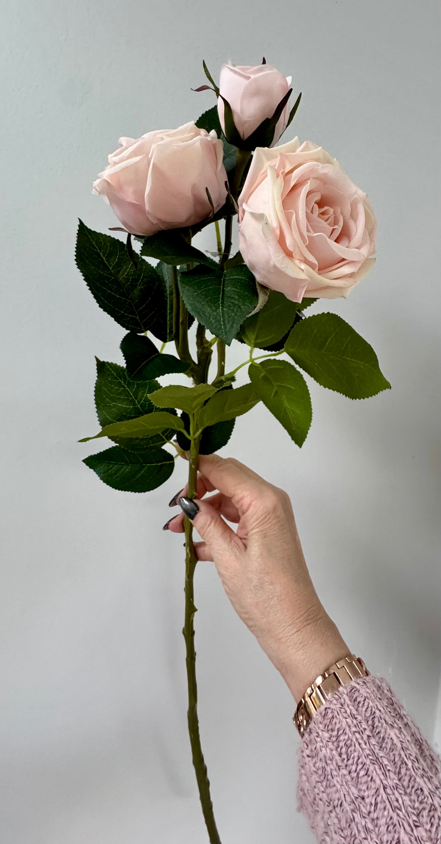 Sara rose-Soft Pink