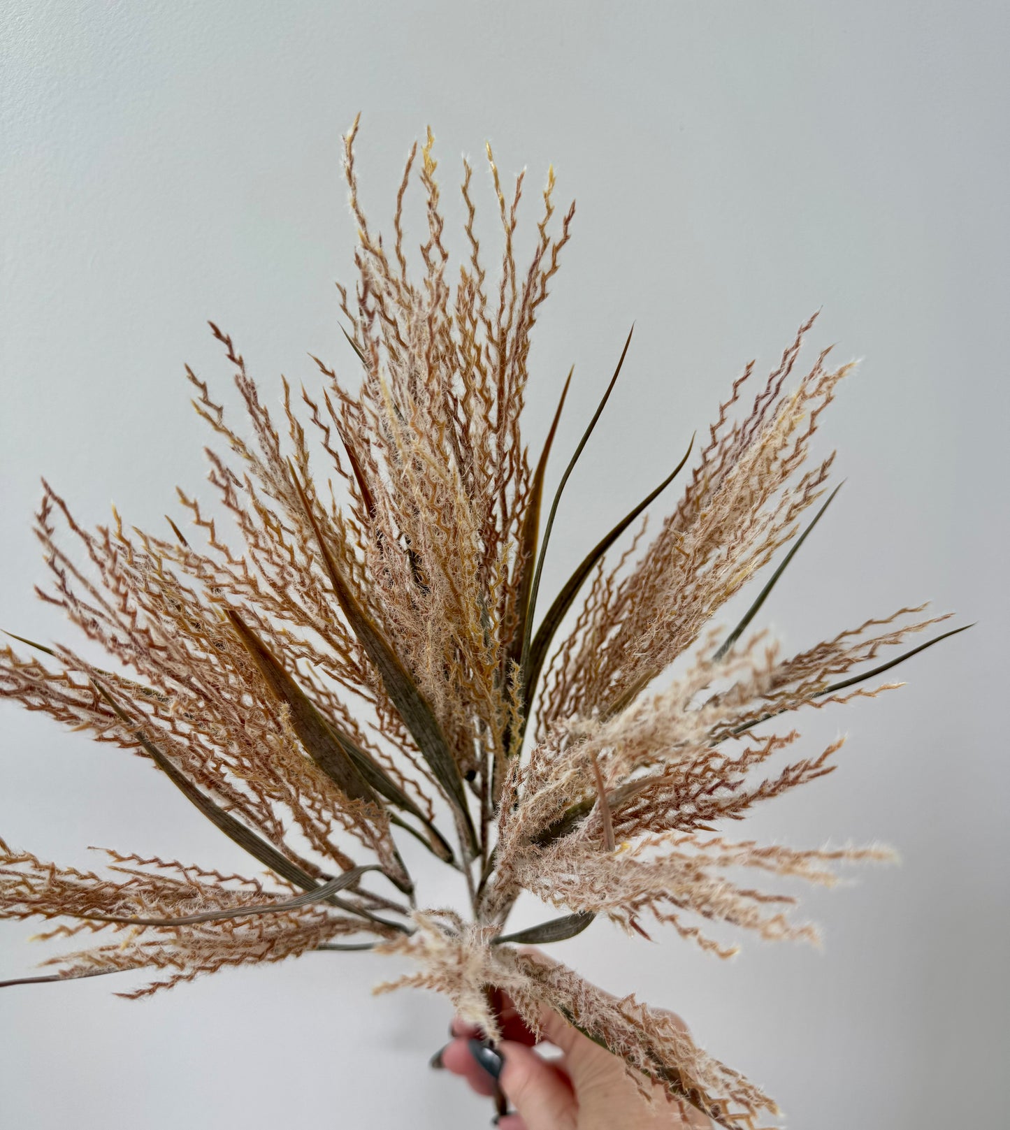 Plume Grass-Dusty Pink