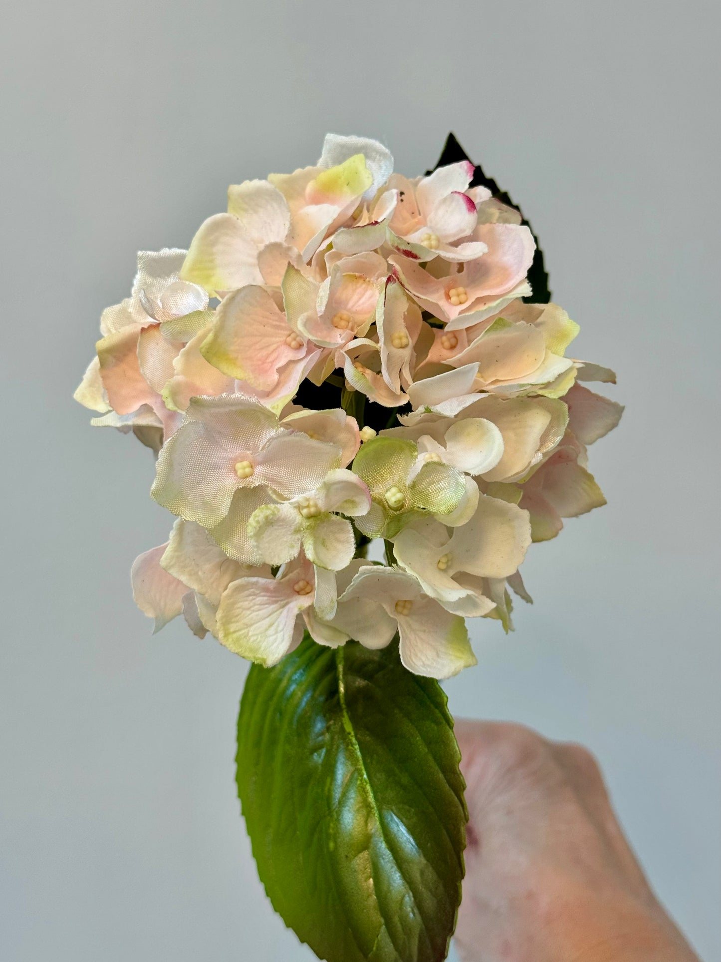 Hydrangea-Pink/Green