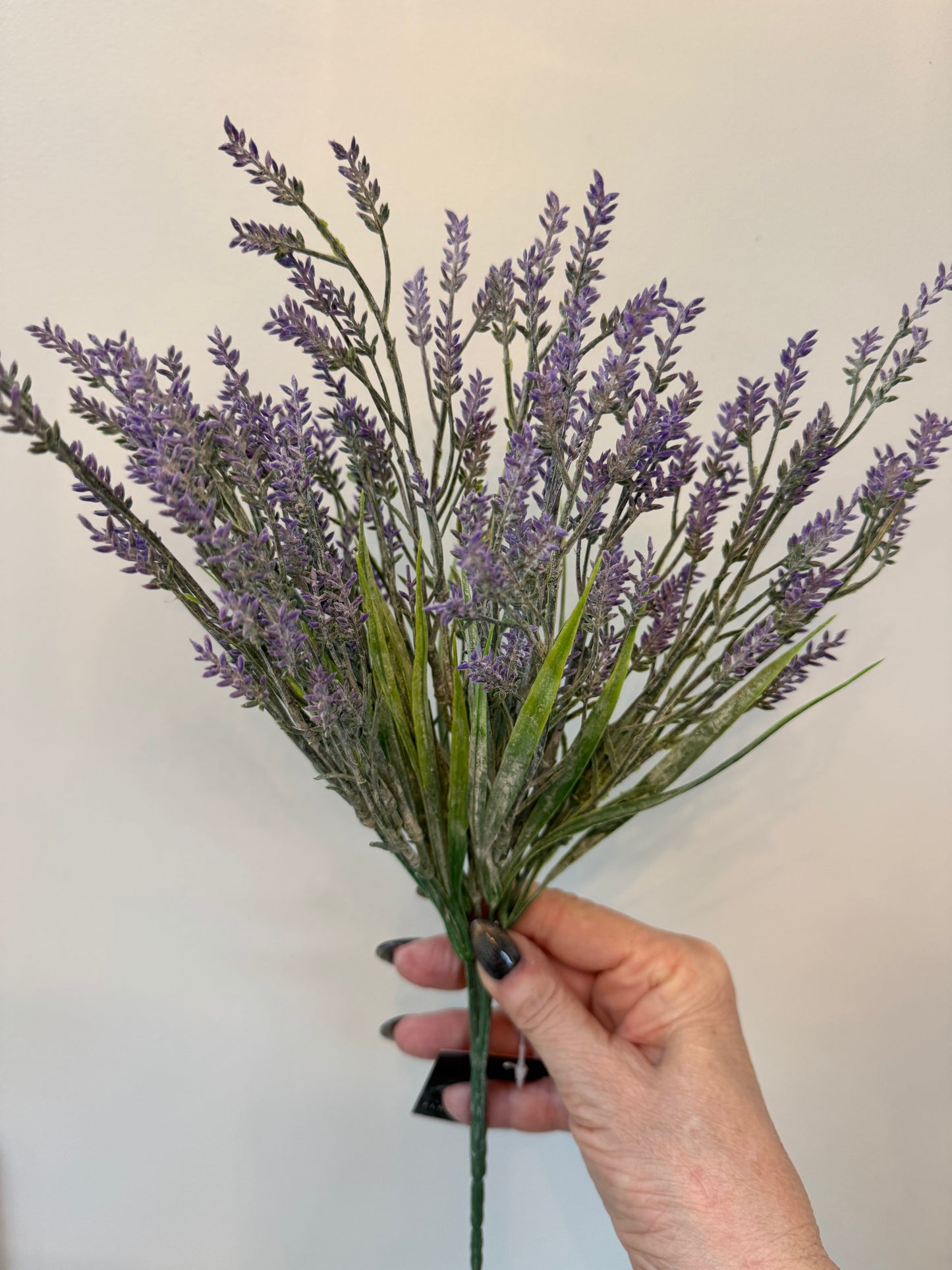 Lavender Bush