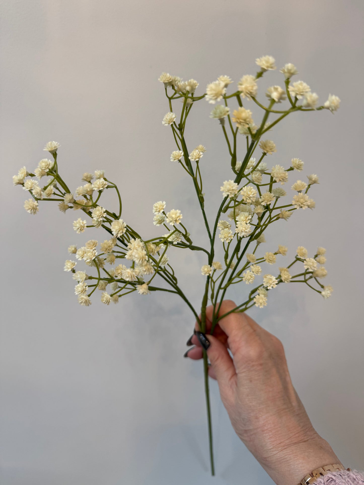 Baby's Breath