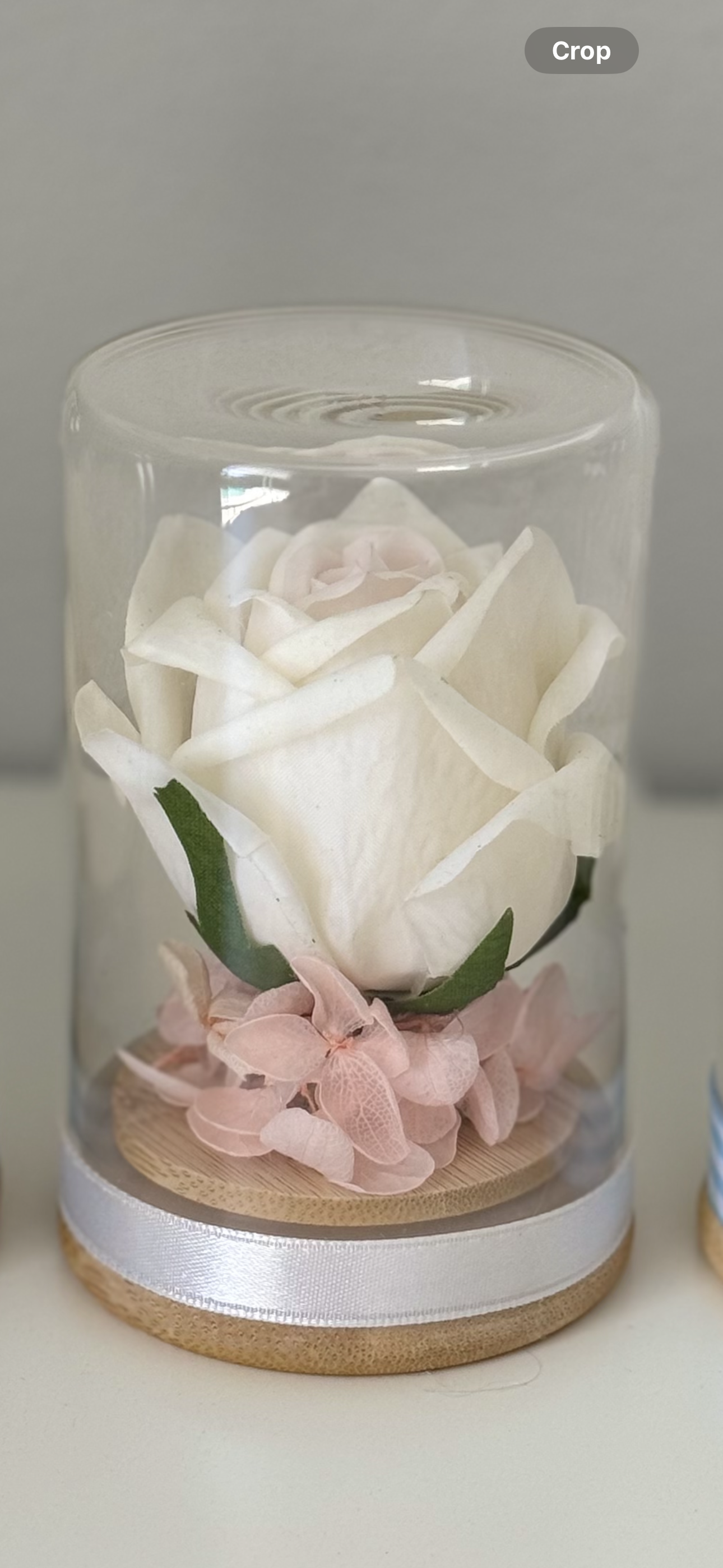 Mini flower cloche