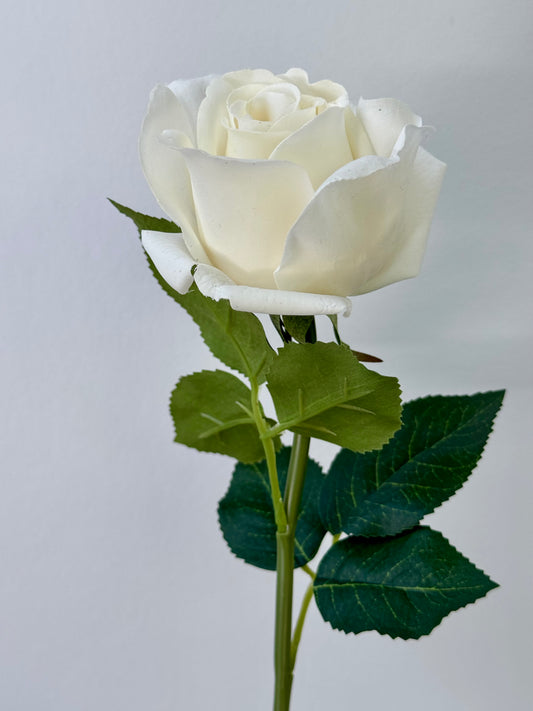Bella Rosebud -White