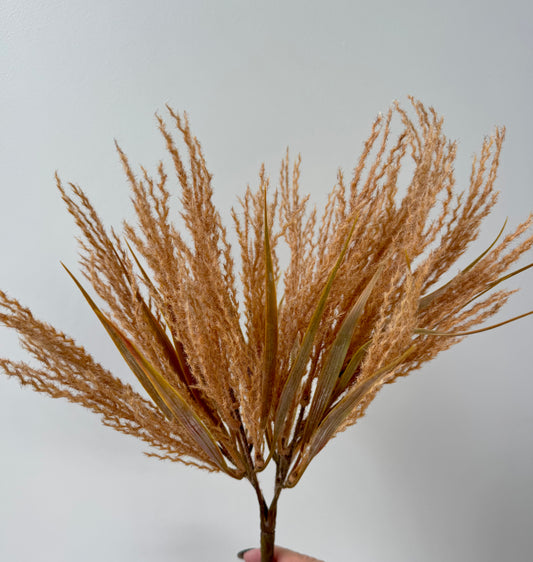 Plume grass-Toffee