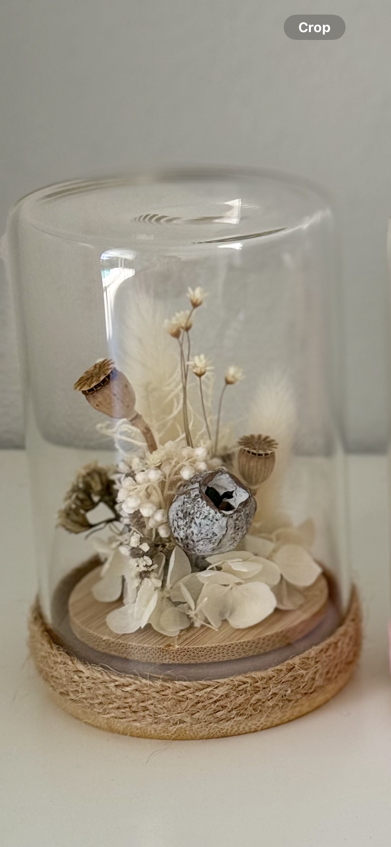 Mini flower cloche