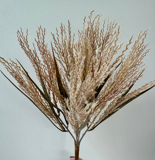 Plume Grass-Dusty Pink