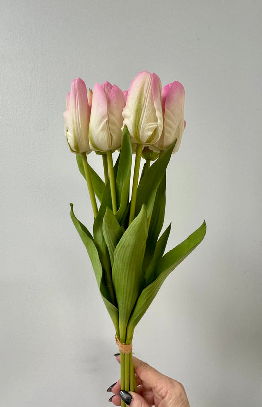 Tulip bunch- Soft Pink