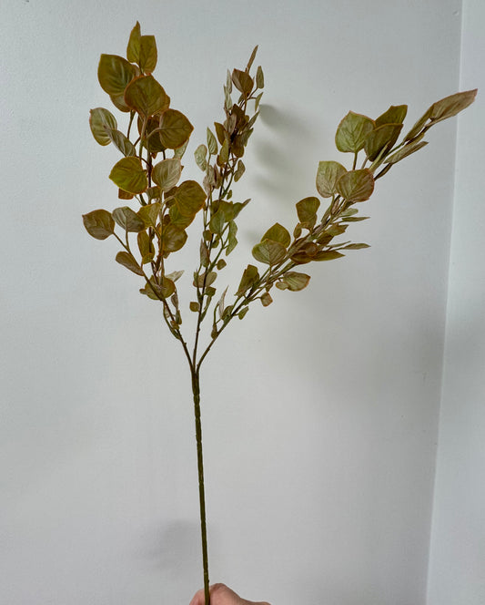 Cordate leaf spray-rust/green