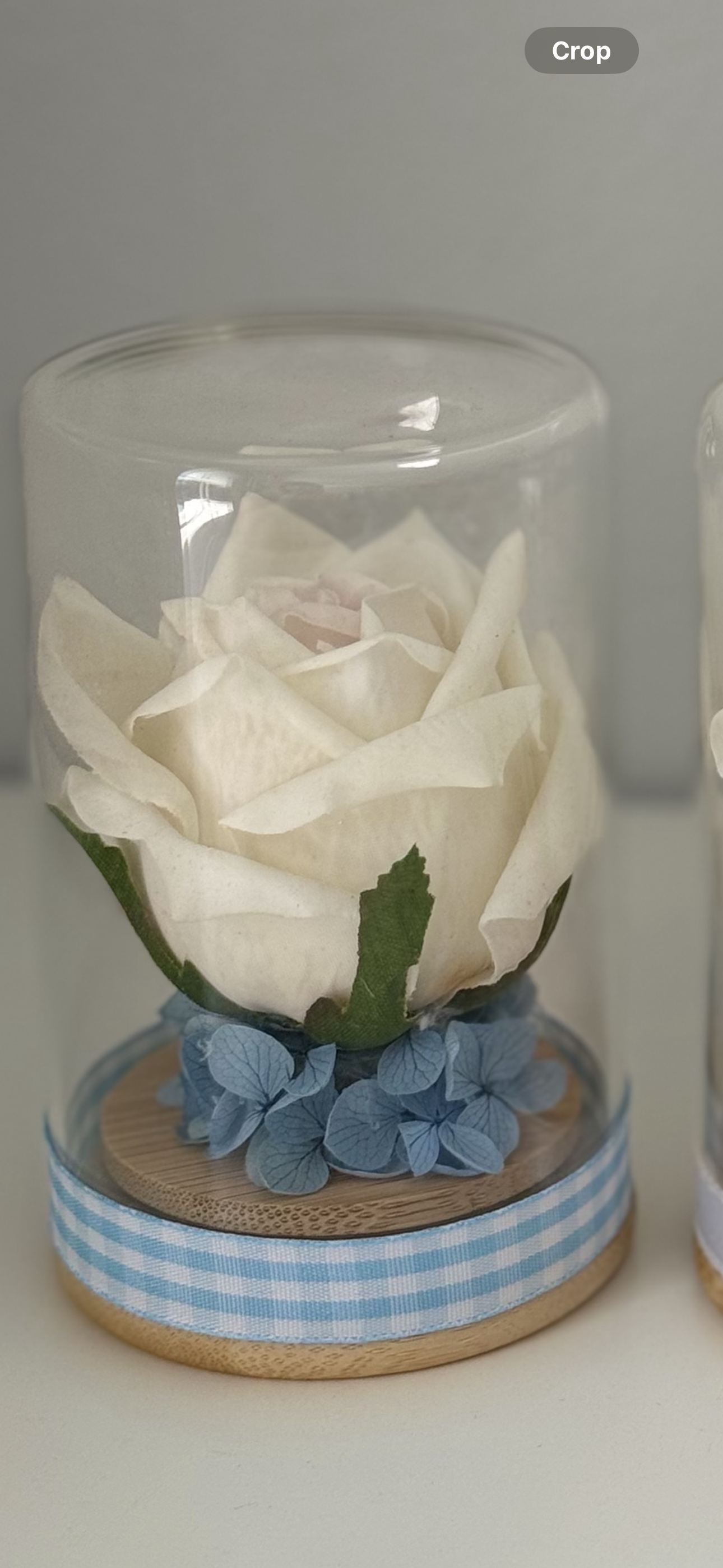 Mini flower cloche