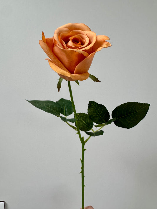 Yvie rose-Toffee