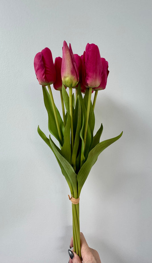 Tulip bunch-Fuchsia