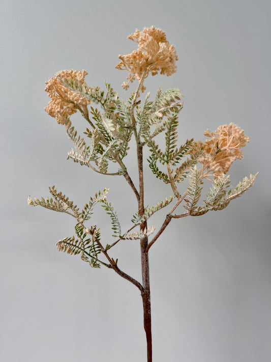 Wild Seed Spray