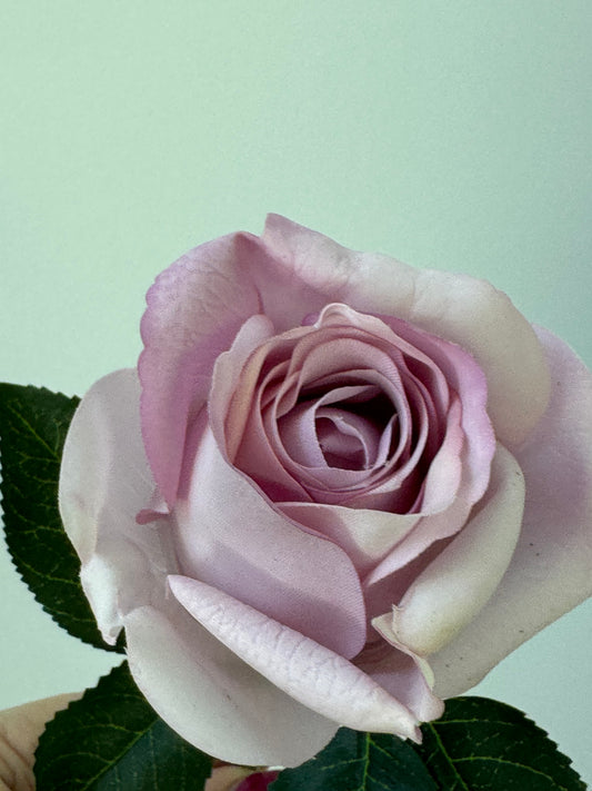 Rosebud Open Bella-Lavender