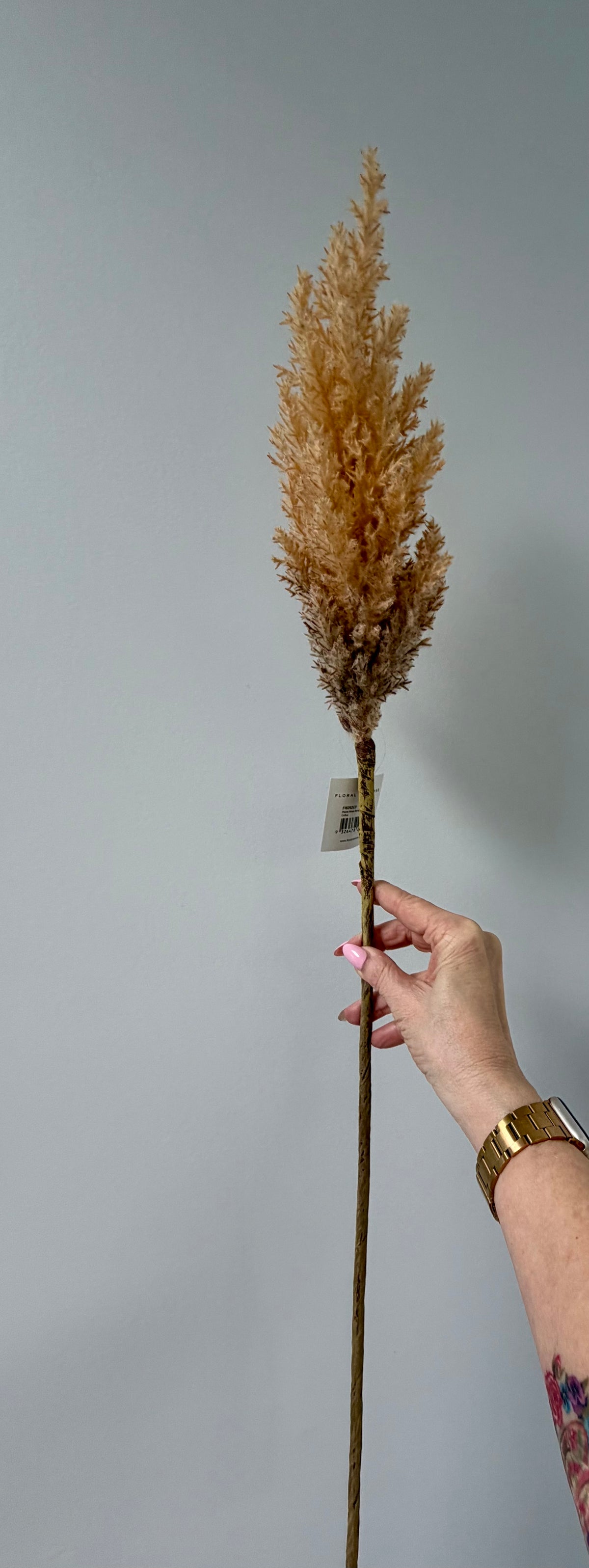 Plume Grass Tall-Coffee
