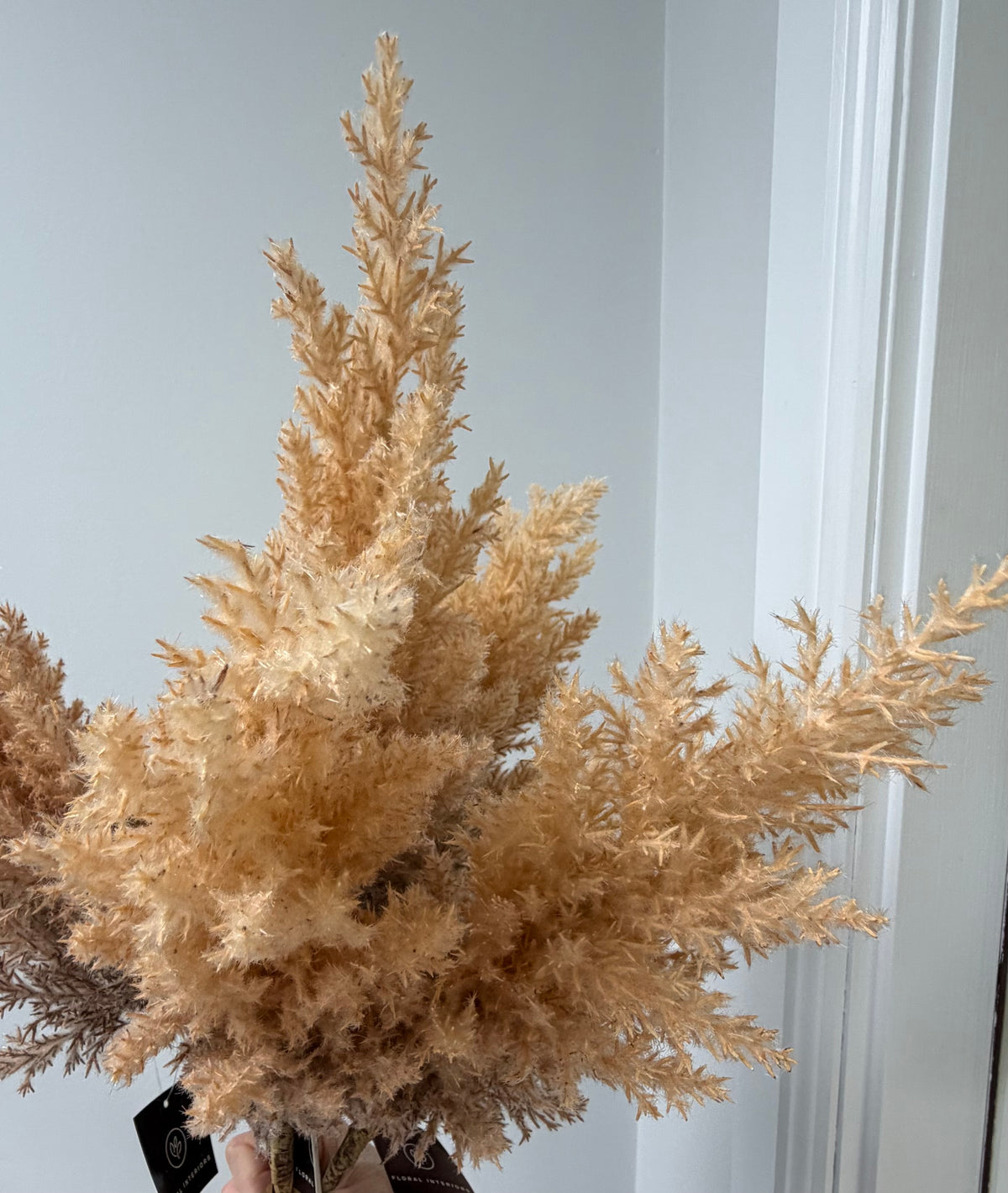 Plume Grass Tall-Coffee