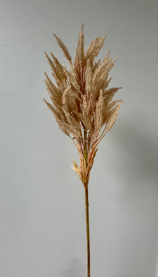 Sorghum-Cream