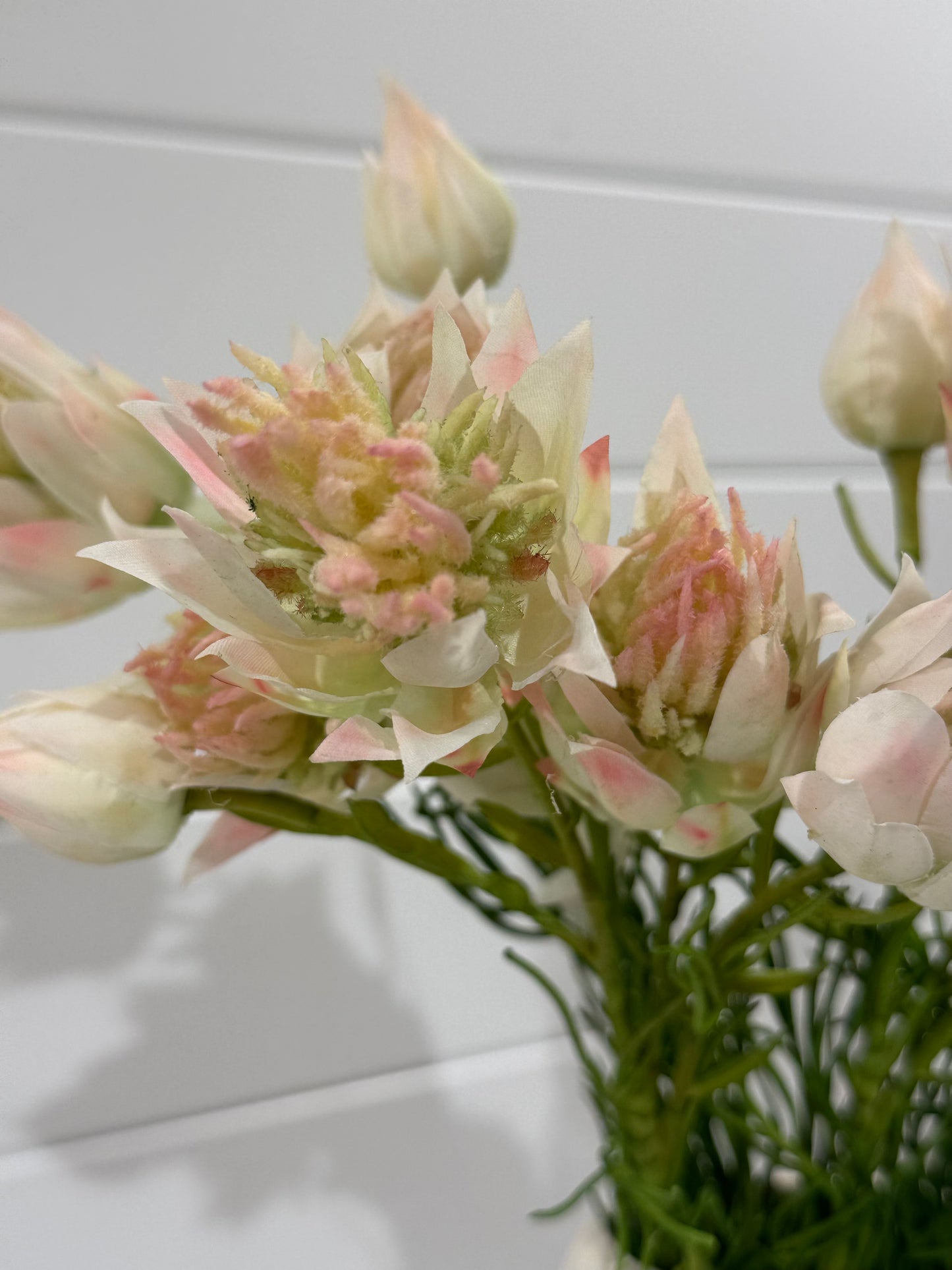 Blushing Bride-Light Pink