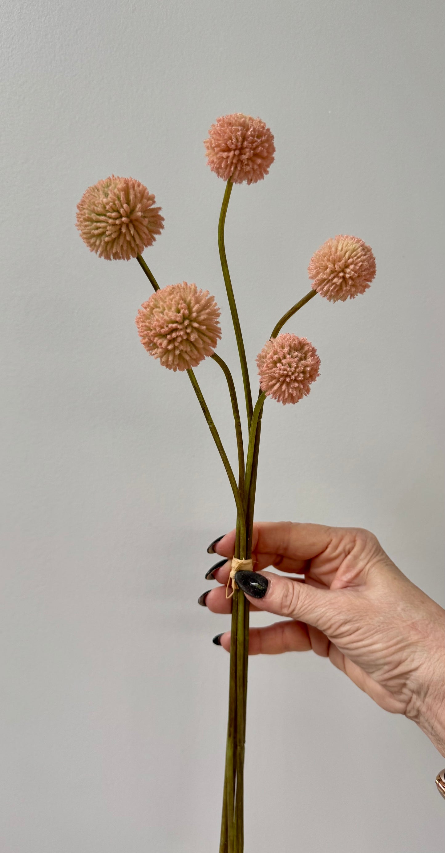 Billy Buttons-Light Pink