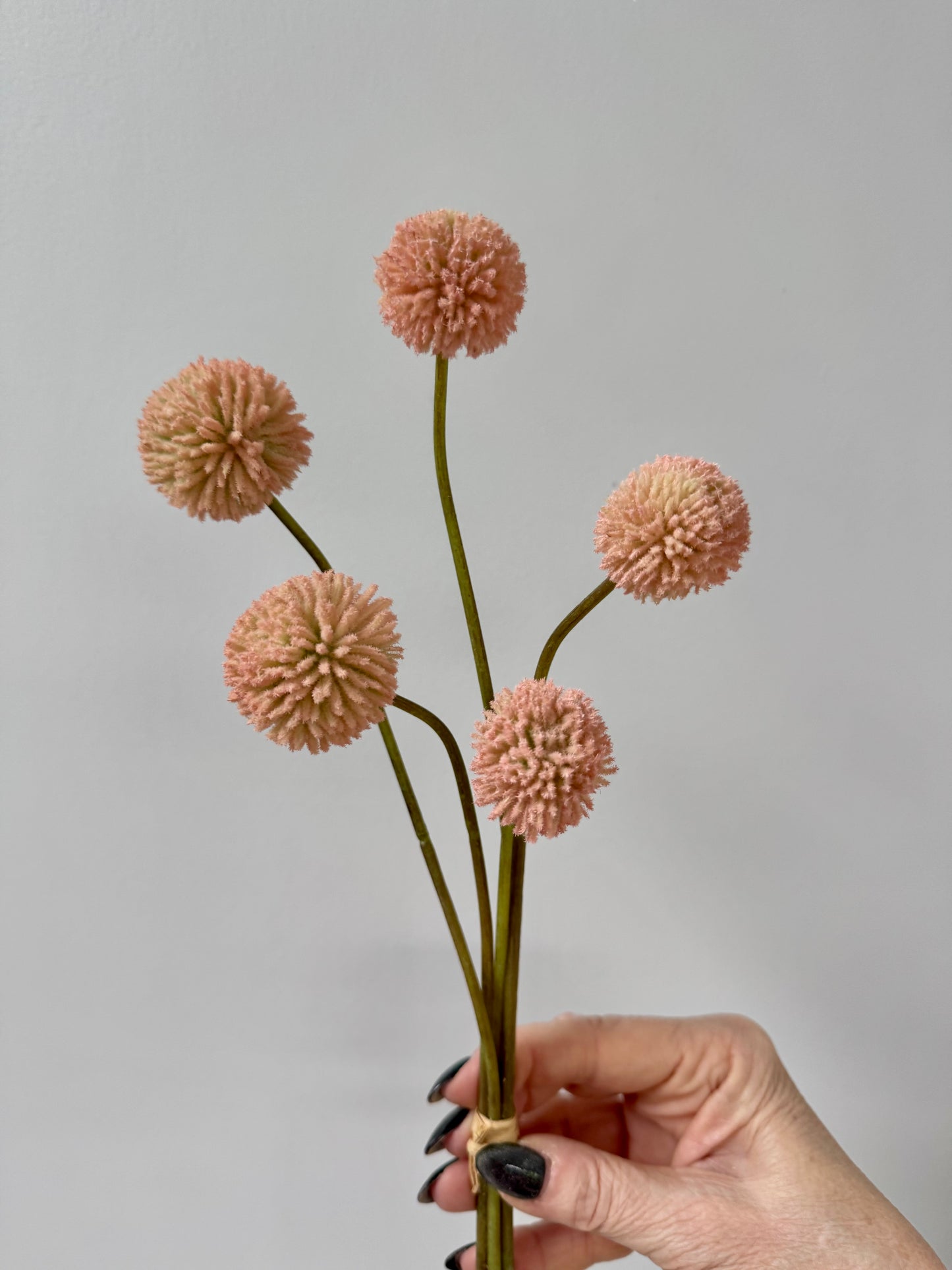 Billy Buttons-Light Pink