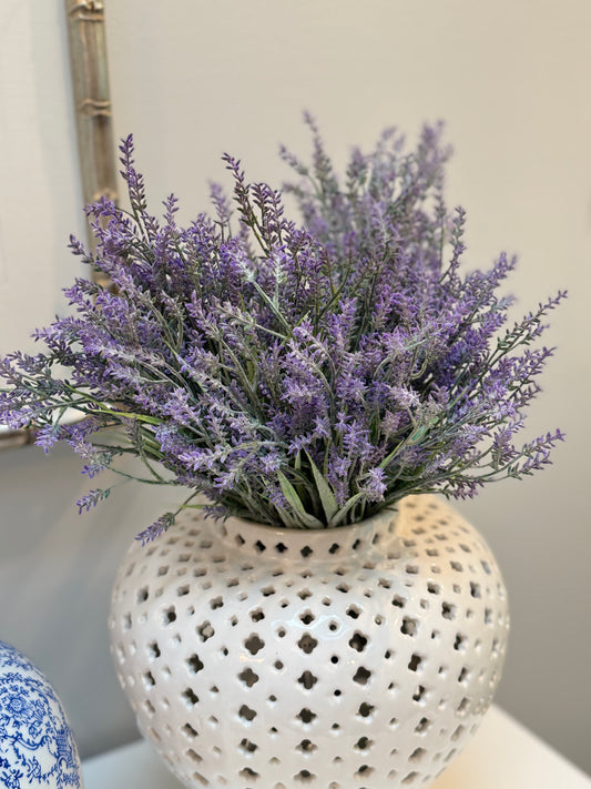 Lavender Bush