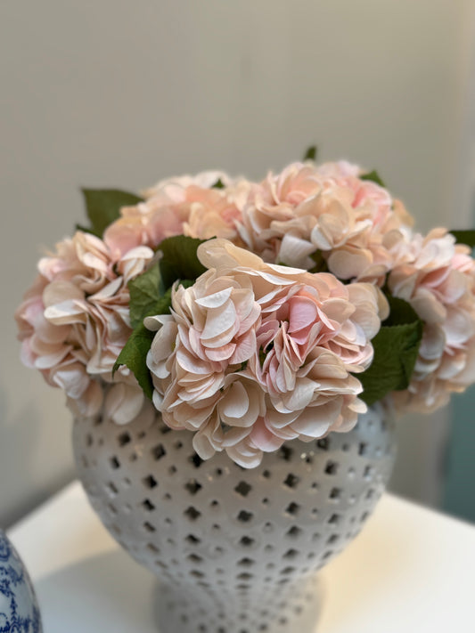 Hydrangea-Light Pink