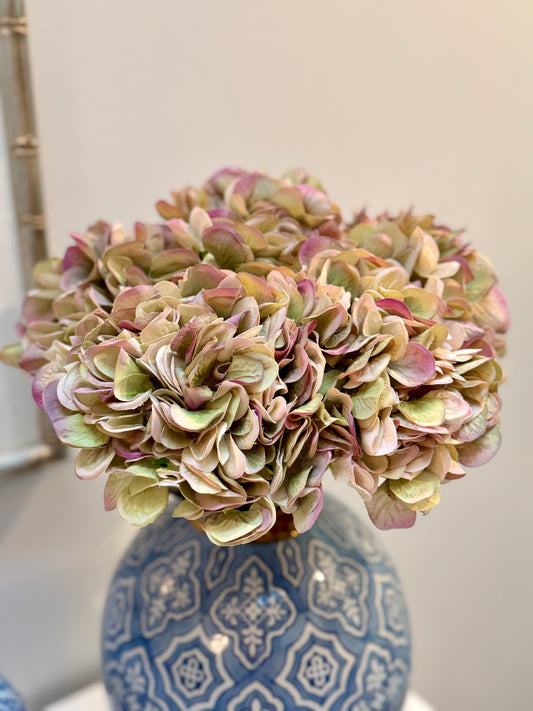 Hydrangea-Green/Mauve