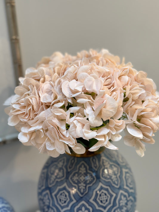 Hydrangea-Ivory