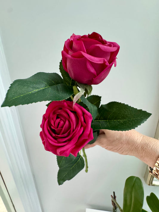 Ariel rose-Magenta