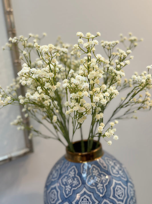 Baby's Breath