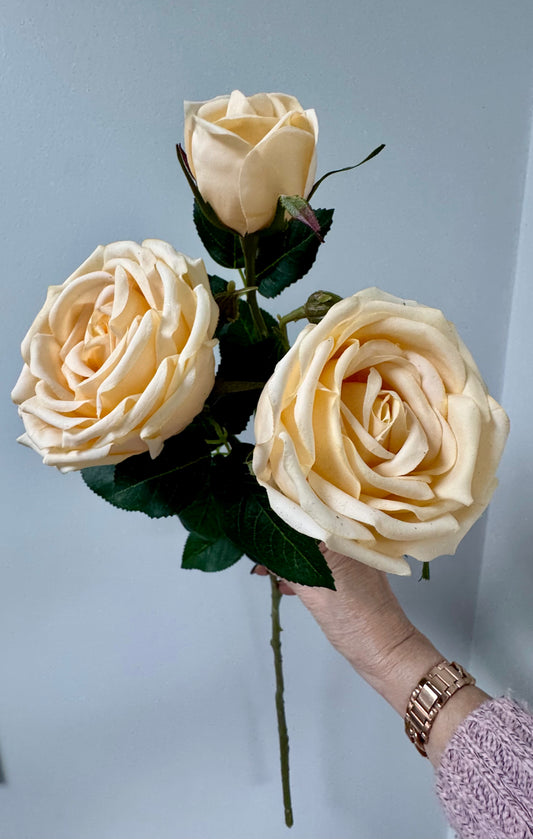 Sara Rose Spray- Butter